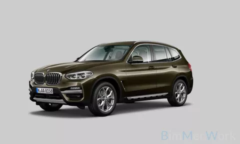 BMW X3 xDrive30i High Executive | PANO | ACC | Trekhaak