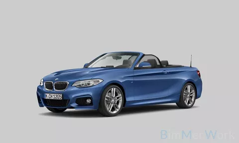 BMW 2-serie Cabrio 220i High Executive | M pakket | Groot navi